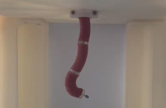 Self-Propelling Robot Endoscope: A Breakthrough In Bowel Cancer Screening
