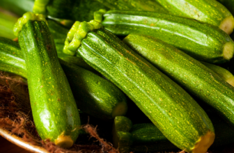 TWELVE ZUCCHINI RECIPES – The Southern Lady Cooks